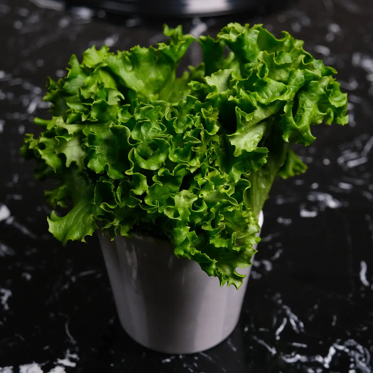 Lettuce